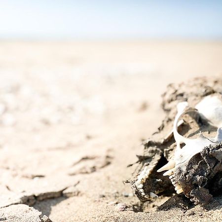 Skeleton Beach Backpackers Swakopmund Luaran gambar